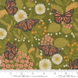 Summer Butterfly - IVY