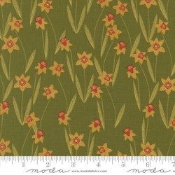 Darling Daffodils - IVY
