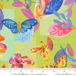 Butterfly Meander - LIMEADE