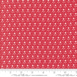 Star Blooms - POMEGRANATE