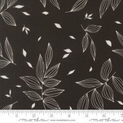 Falling Leaves - BLACK AS NIGHT