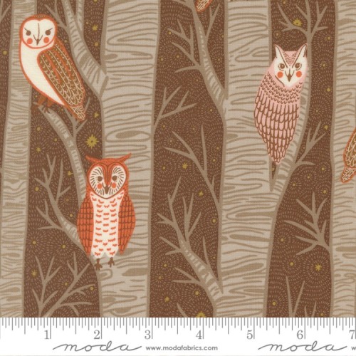 Night Owl - COCOA