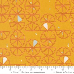 Lemon Slice - SUNBEAM