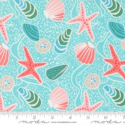Sea Shells - SURF