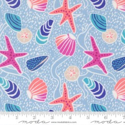 Sea Shells - MARLIN