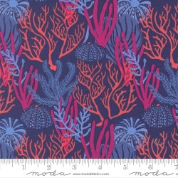 Coral Reef - DUSK