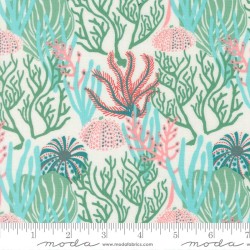 Coral Reef - SEAWEED