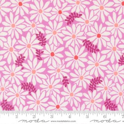 Bloom - PETAL
