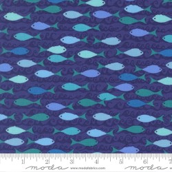 School Of Fish - SEAFOAM