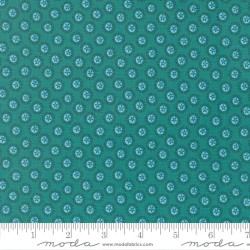 Sand Dollar - HORIZON