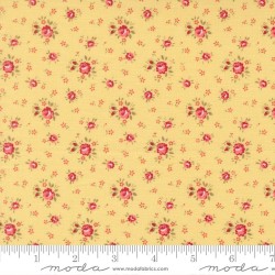 Petite Rose - SUNWASHED