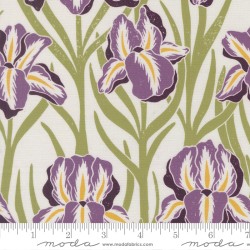Iris - CREAM