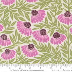 Echinacea - CREAM
