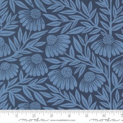 Echinacea - DUSK