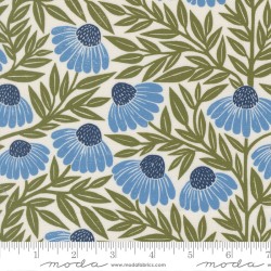Echinacea - CREAM-SKY