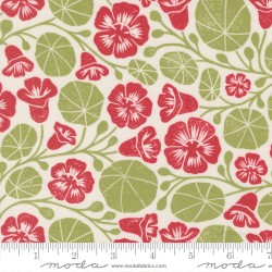 Nasturium - CREAM