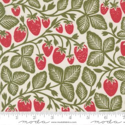 Strawberry - CREAM