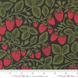 Strawberry - MIDNIGHT