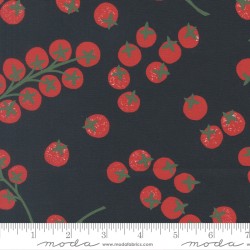 Tomatoes - MIDNIGHT