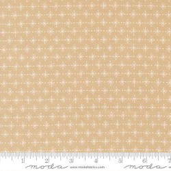 Twinkling Star - GARDEN PATH