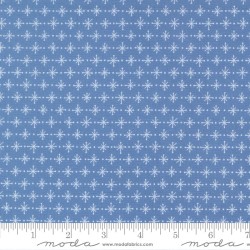 Twinkling Star - BLUEBERRY