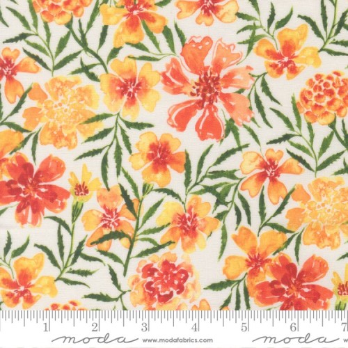 Golden Days - CORAL Golden Days - CORAL