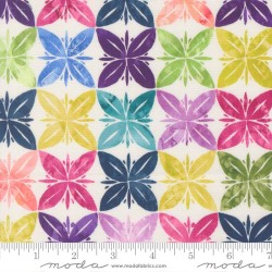 Slow Stroll - RAINBOW