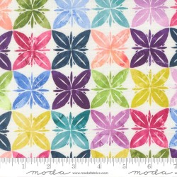 Slow Stroll Canvas  (100% cotton)- RAINBOW