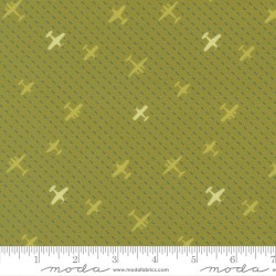 Flight Path Novelty Airplanes - GRASS