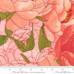 Peonies - COTTON CANDY