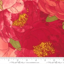 Peonies - LIPSTICK