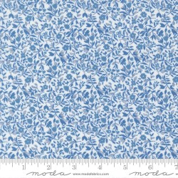 Frolic - WHITE - BLUE