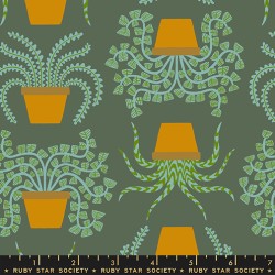 RSS - Planties - SEAWEED