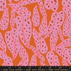 RSS - Overlapping Leaves - PECAN