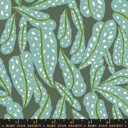 RSS - Overlapping Leaves - SEAWEED