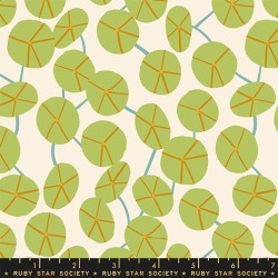 RSS - Pilea - NATURAL