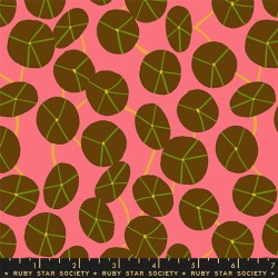 RSS - Pilea - STRAWBERRY