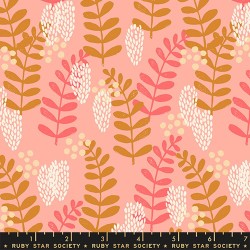 RSS - Fern Dell - BASHFUL