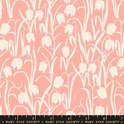 RSS - Fritillaria - BASHFUL