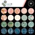 Moda - RSS Reimagined Landscapes