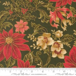 Poinsettia - EVERGREEN