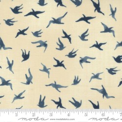 Kittiwake - PEARL