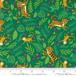 Jungle Fun - MONSTERA