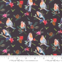Robins With Pinecones - COAL