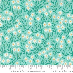 Daisy - AQUA