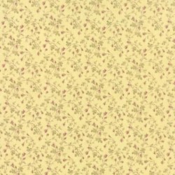 Climbing Roses - LEMON CHIFFON