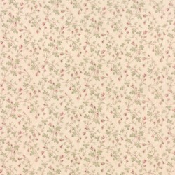 Climbing Roses - BALLET SLIPPER