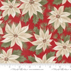 Promising Poinsettia - CRIMSON