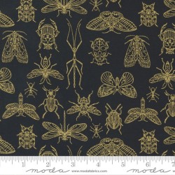 Midnight Insects - NIGHT