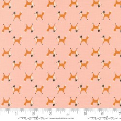 FOX TROT - BLUSH
